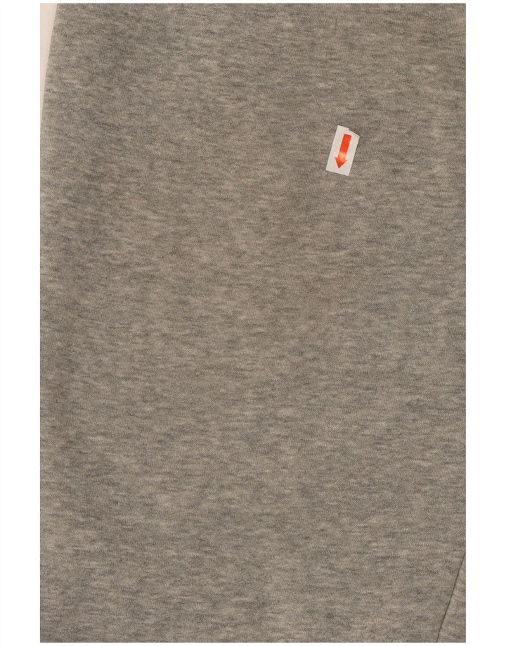 Męskie spodnie dresowe NIKE Joggery, średnioszare, bawełniane