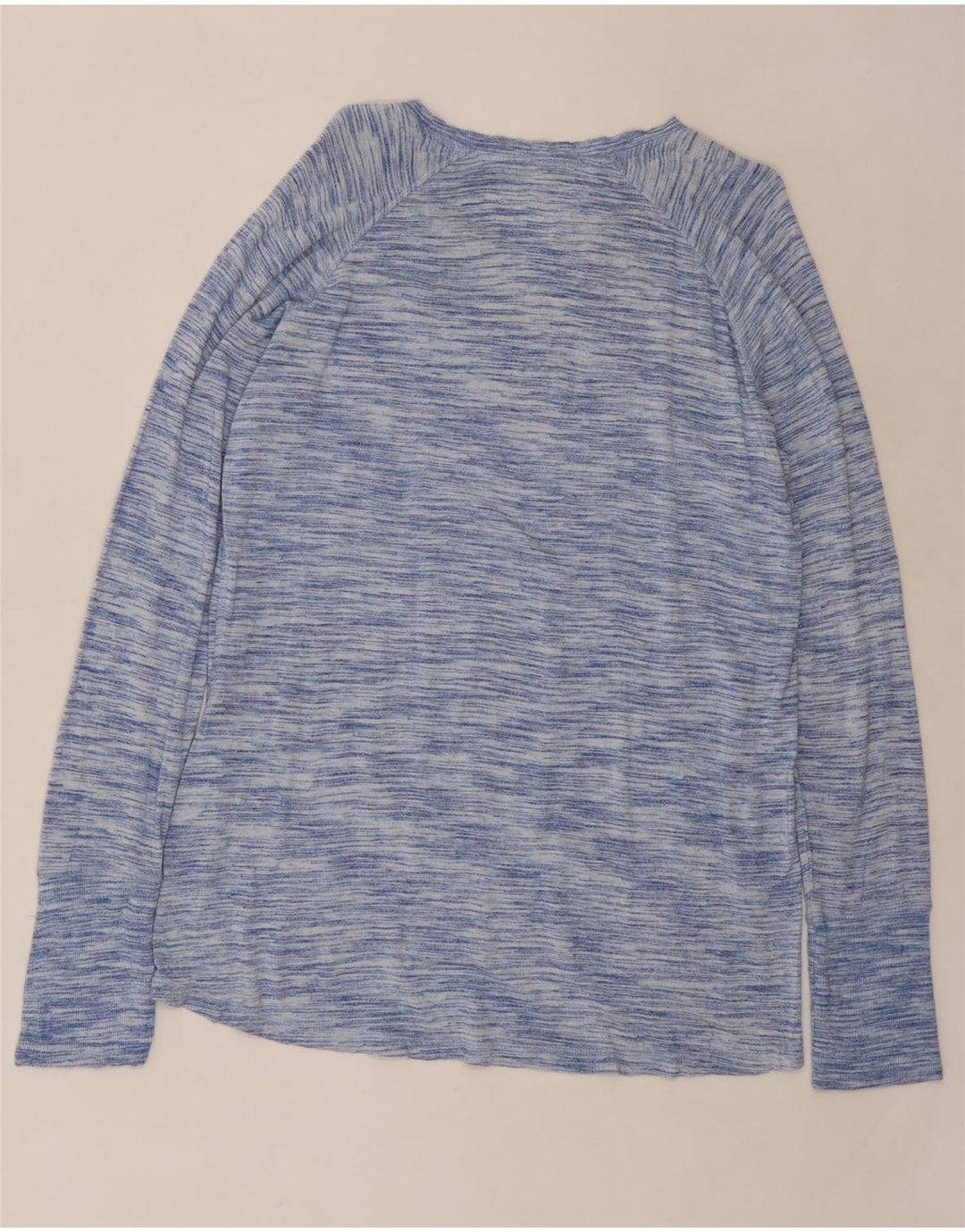 CHAMPION Womens Top Long Sleeve UK 16 Large Blue Flecked Viscose Vintage Champion and Second-Hand Champion from Messina Hembry 