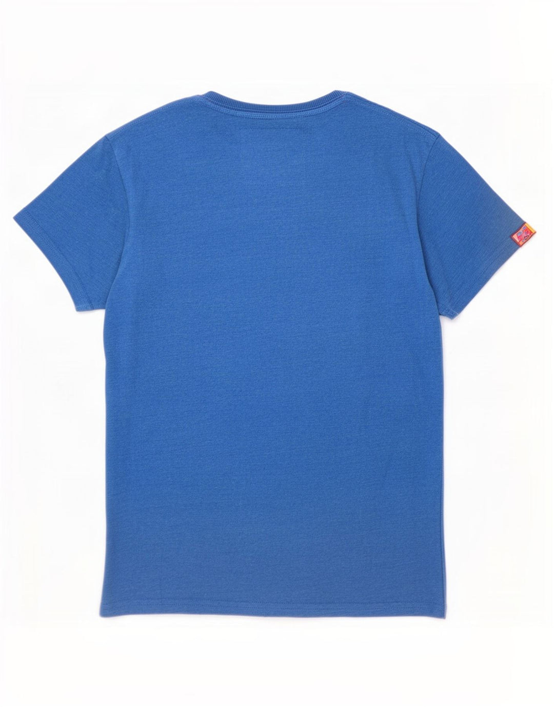 Męski T-shirt z grafiką Superdry, mały, niebieski