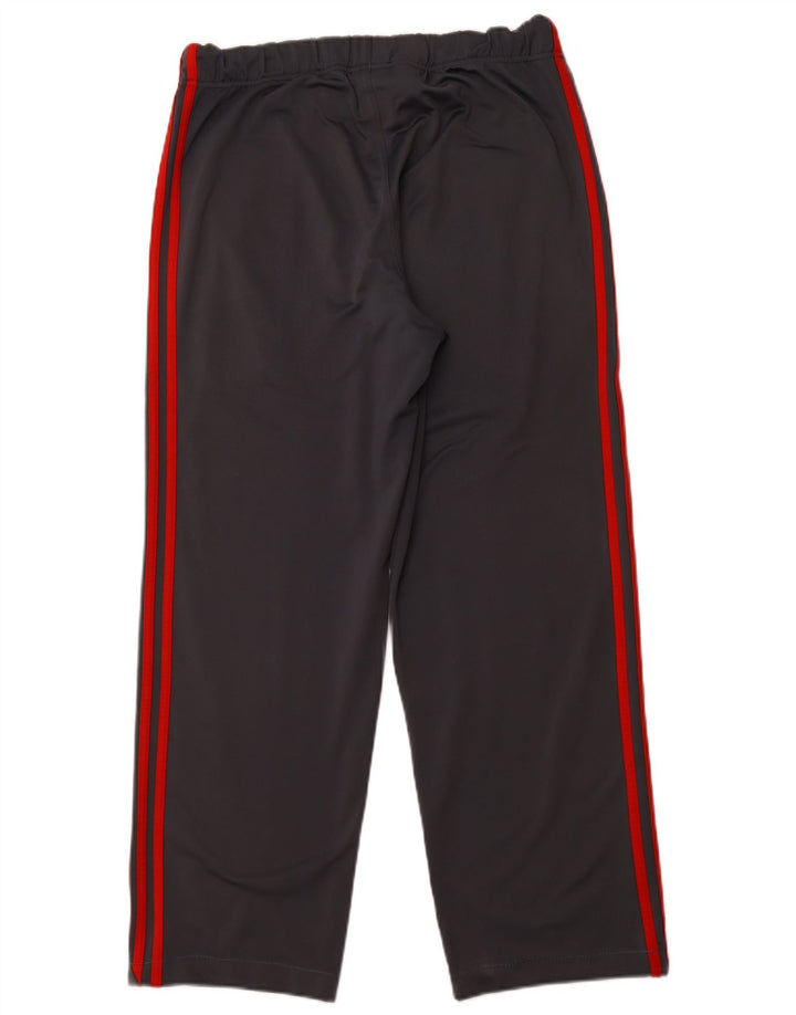 Męskie spodnie dresowe ADIDAS, średnioszary poliester