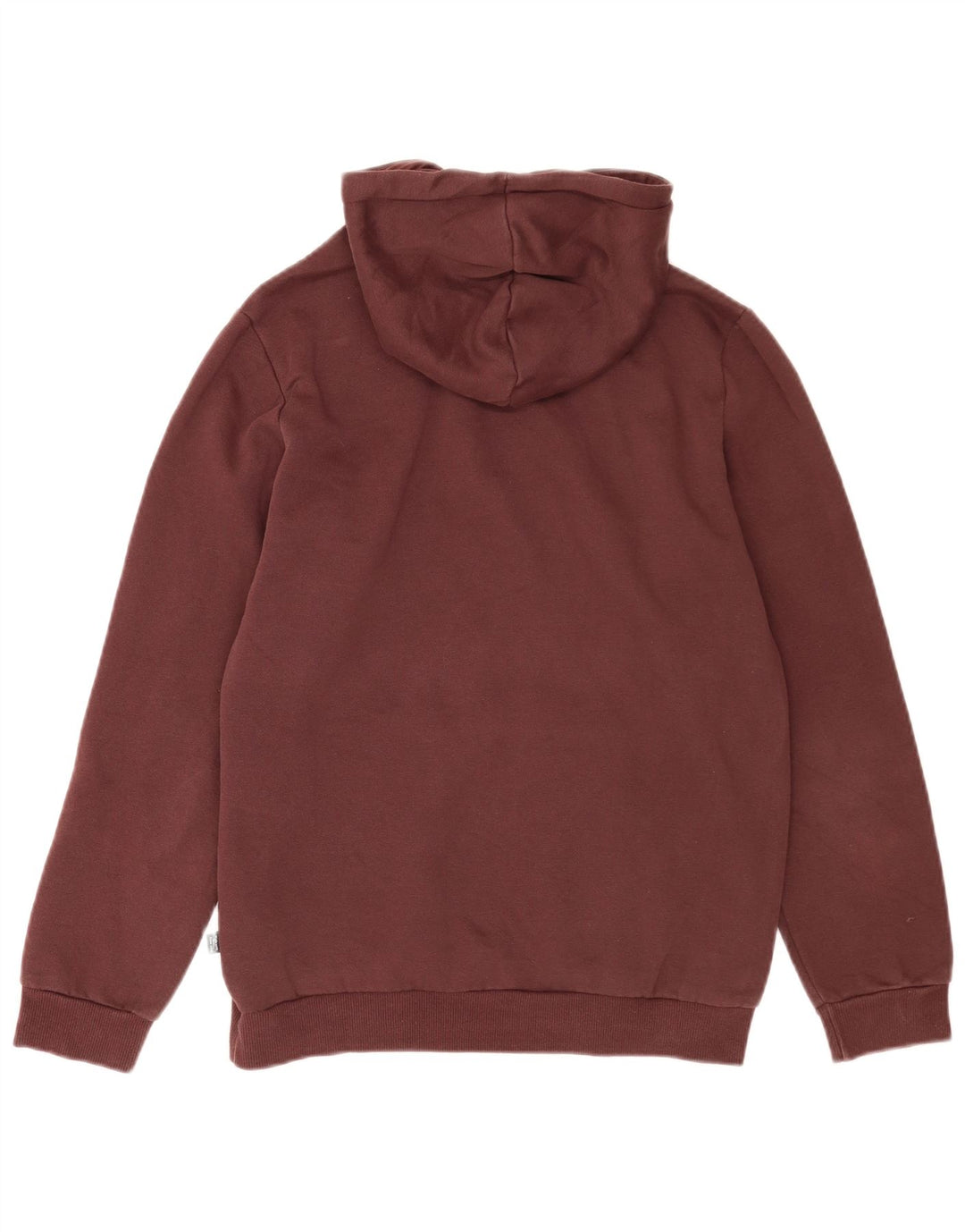 Męski sweter z kapturem Puma z grafiką, mały, brązowy, bawełniany