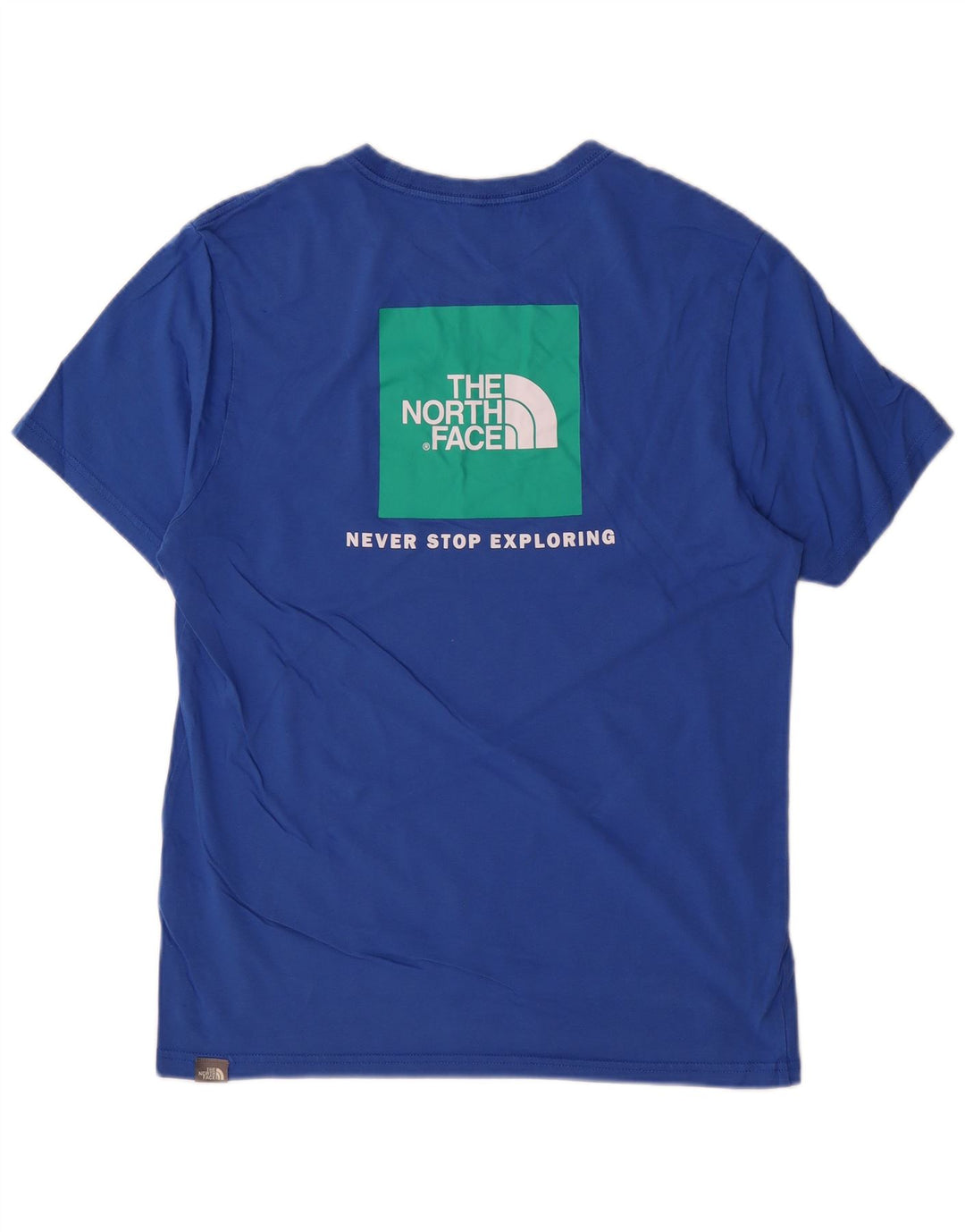 Męska koszulka z grafiką The North Face, bawełniana, w kolorze średniego błękitu