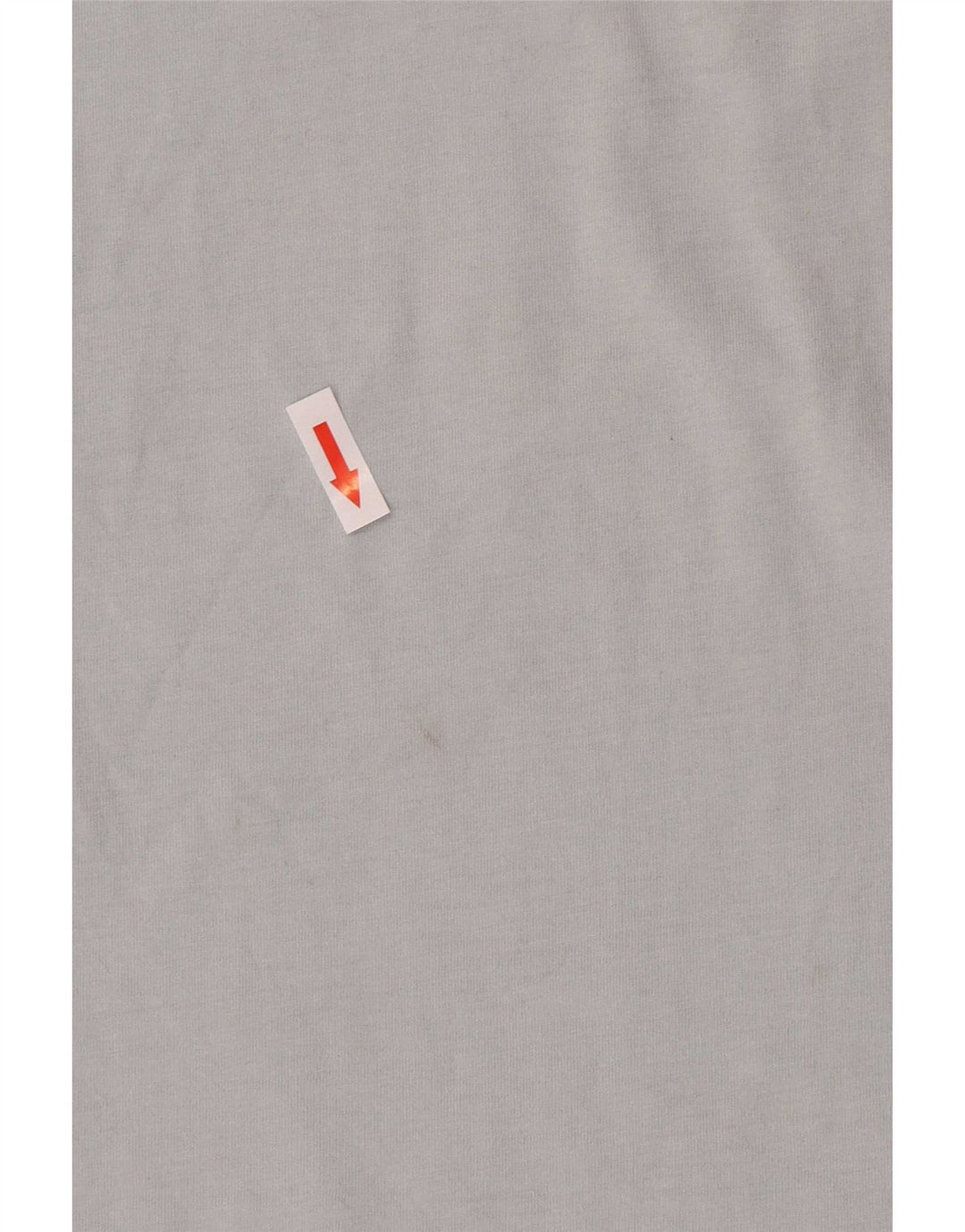 Męski T-shirt z grafiką Ted Baker, rozmiar 4, duży, niebieski, bawełniany