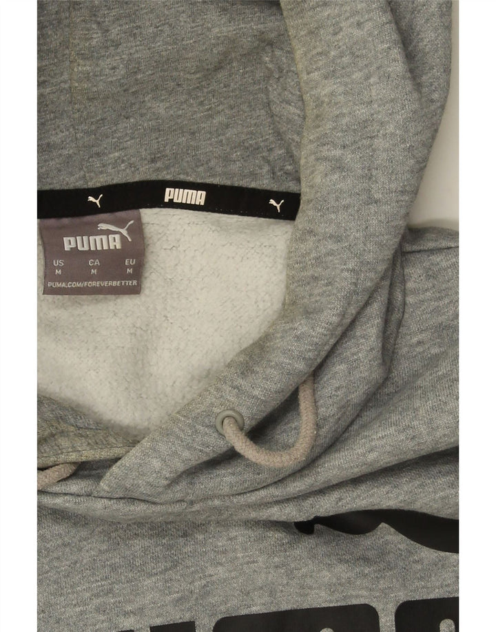 Męski sweter z kapturem Puma z grafiką, średnioszary, bawełniany
