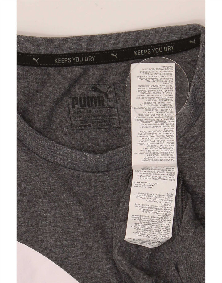 Męska koszulka z grafiką Puma XL, szary poliester
