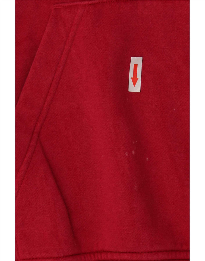 Męski sweter z kapturem Jordan Graphic, średni różowy, bawełniany