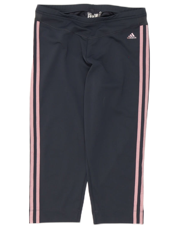 Spodnie dresowe Adidas Damskie Clima 365 Capri UK 16, duże, szare
