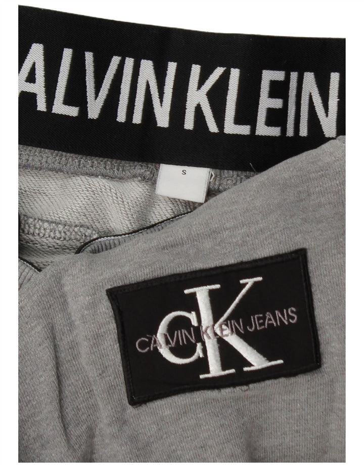 Męskie spodnie dresowe CALVIN KLEIN, małe, szare, bawełniane