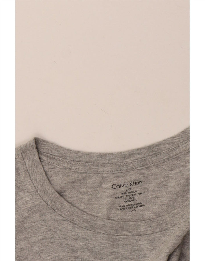 Męski T-shirt Calvin Klein, duży, szary, nakrapiany