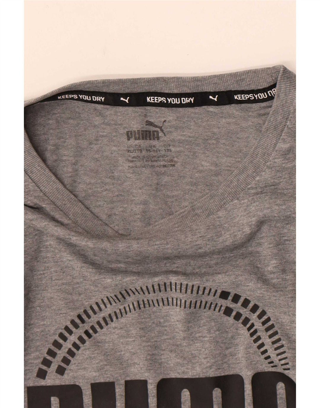 Chłopięcy T-shirt z grafiką Puma, 15-16 lat, szary