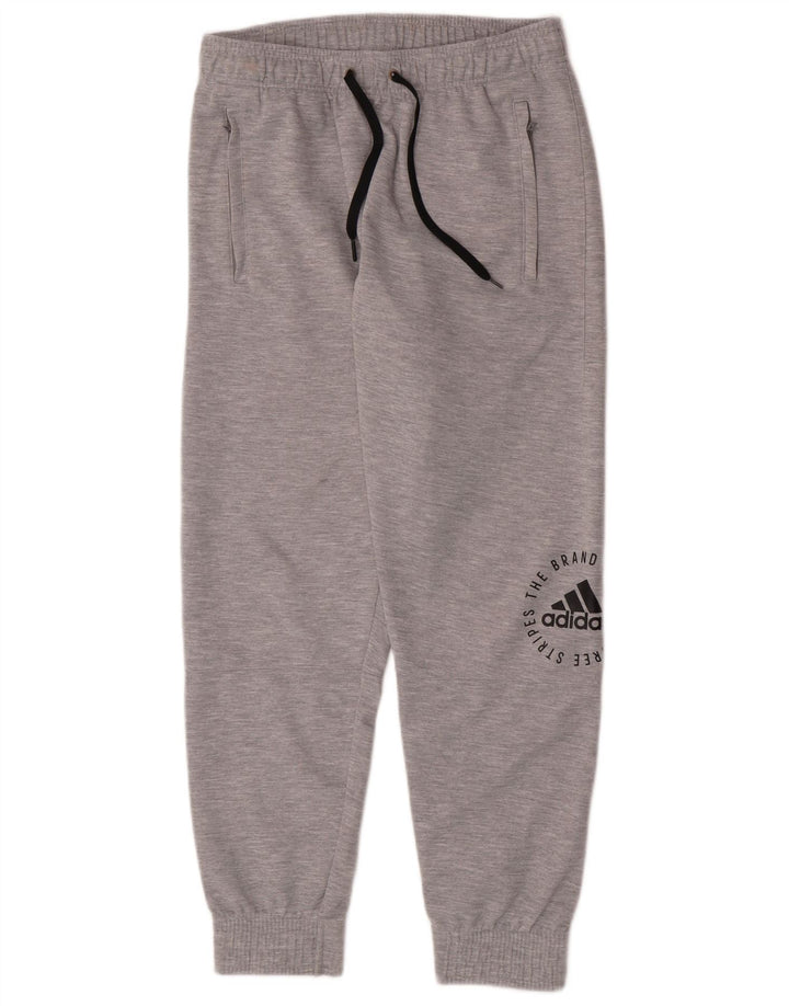 Męskie spodnie dresowe Adidas z grafiką, średnioszare, poliestrowe