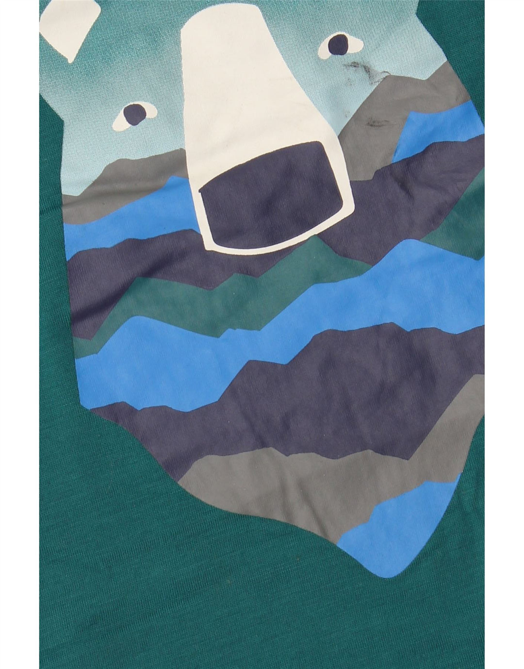 Chłopięcy top z długim rękawem EDDIE BAUER z grafiką, duży, zielony, 13-14 lat