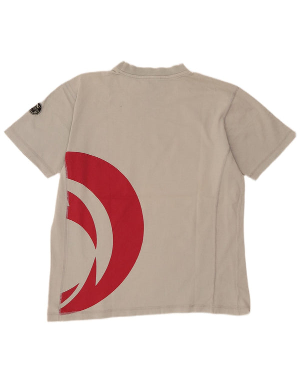 Męski T-shirt z grafiką North Sails, duży, szary