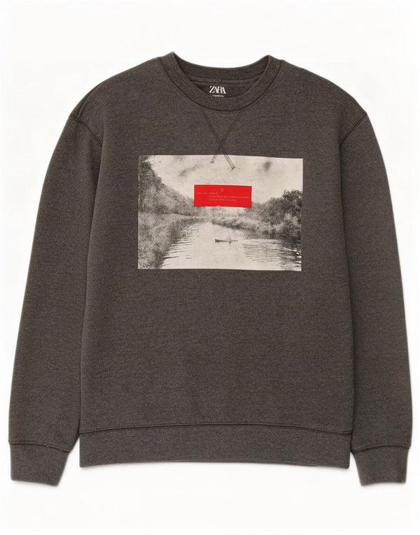 Męska bluza z grafiką Zara, mała, szara, bawełniana