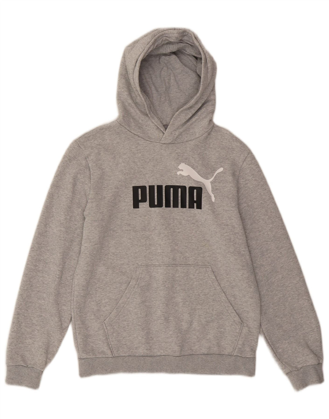 Chłopięcy sweter z kapturem i grafiką PUMA, 13-14 lat, szara bawełna