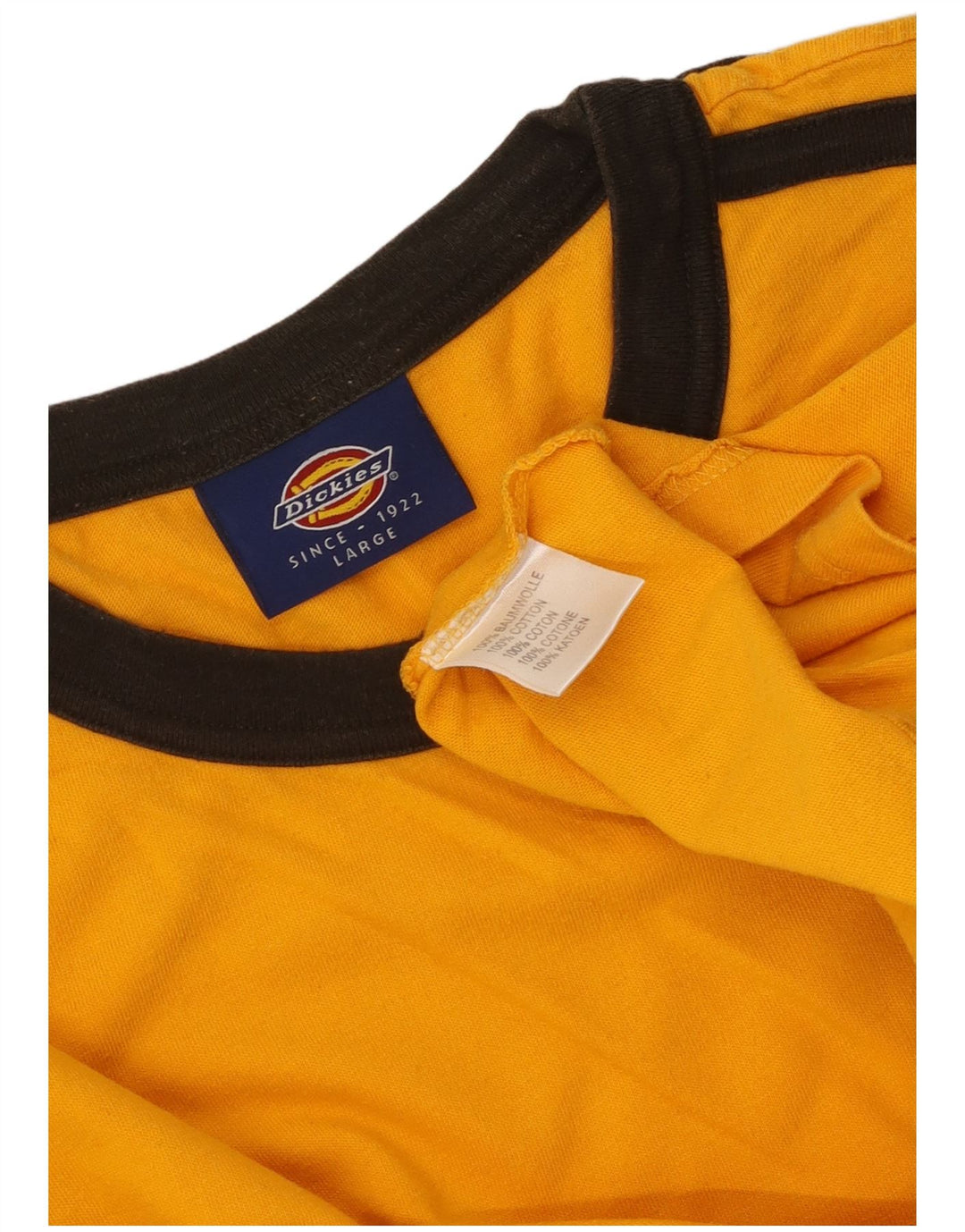Męski top z grafiką DICKIES z długim rękawem, duży, pomarańczowy, bawełniany z blokami kolorów