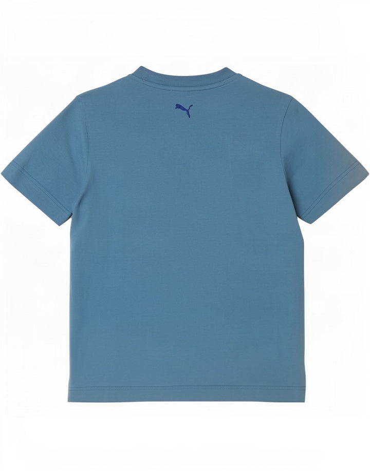 Puma Męska koszulka graficzna Top Small Blue