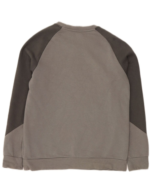 Bluza chłopięca ADIDAS z grafiką, 13-14 lat, szara, bawełniana z blokami kolorów