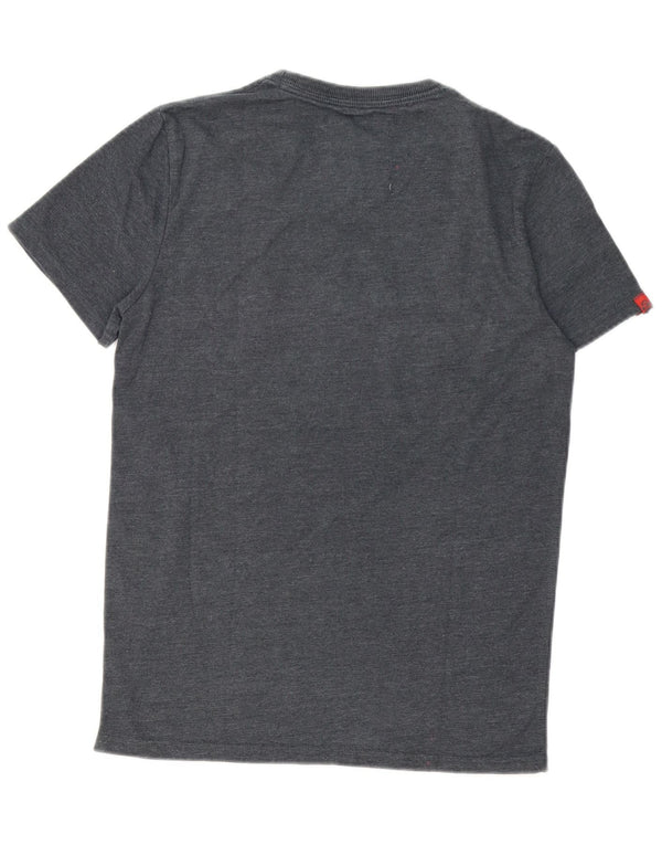 Męski T-shirt z grafiką Superdry, średnioszary, bawełniany