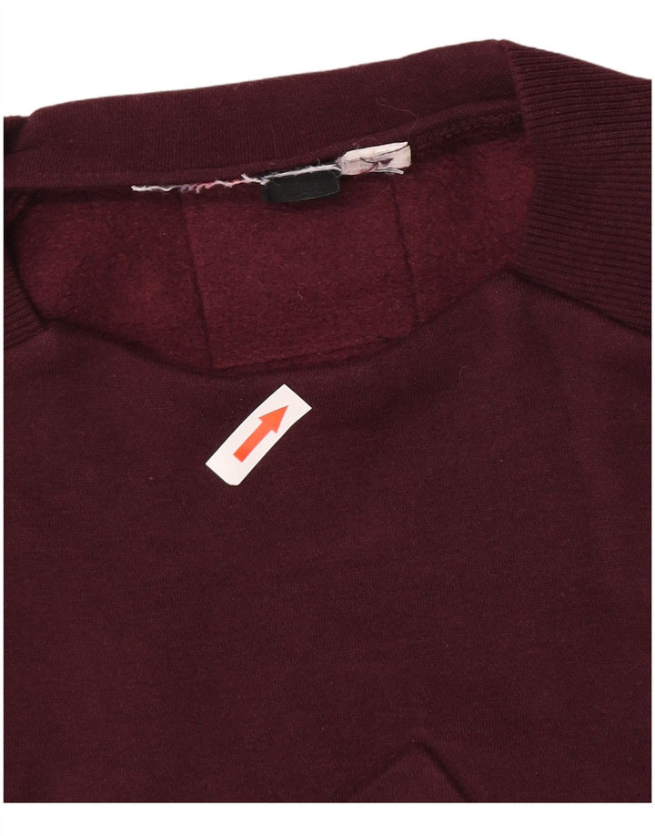 Męska bluza Adidas z grafiką, mała bordowa