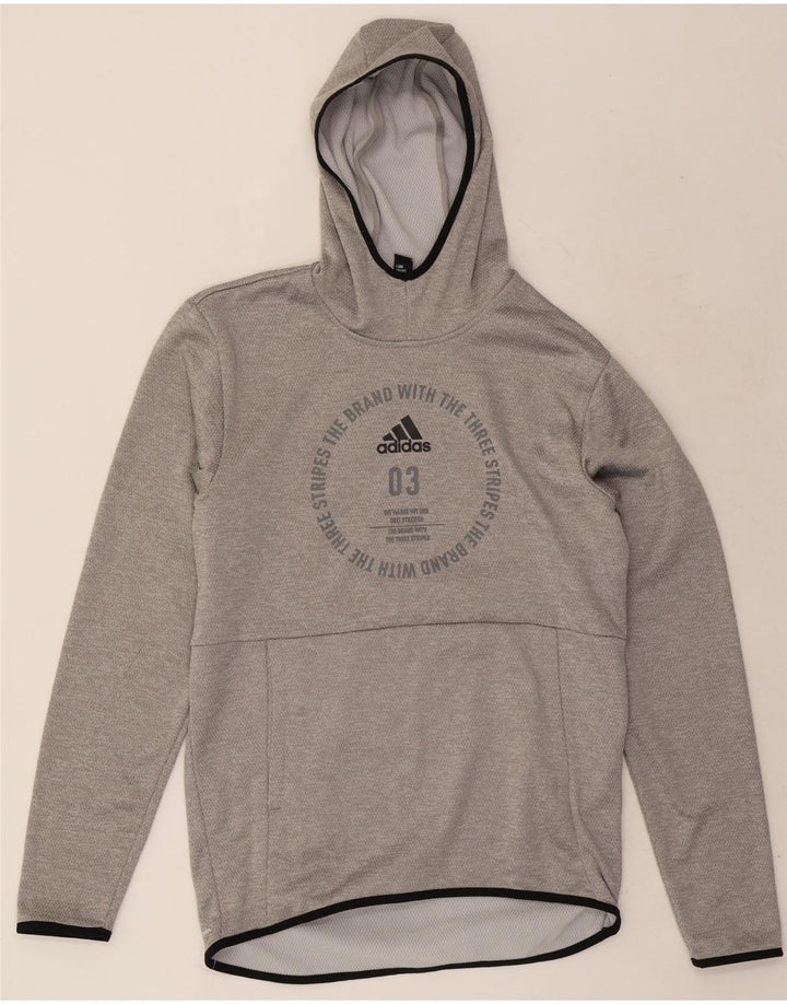 Męska bluza z kapturem Adidas z grafiką, mała, szara, z poliestru