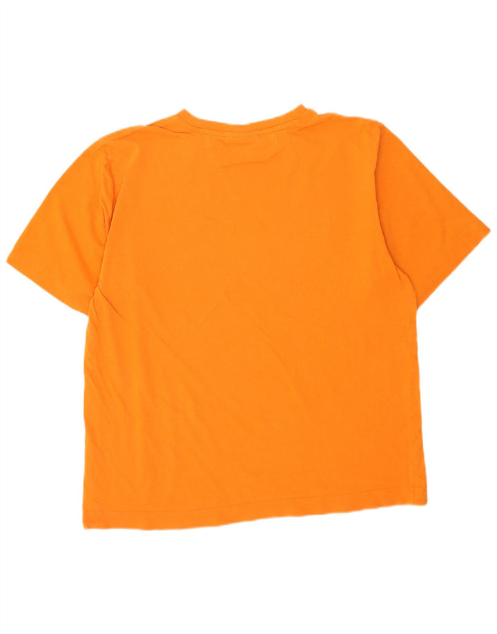 Męski T-shirt Puma z grafiką, duży, pomarańczowy