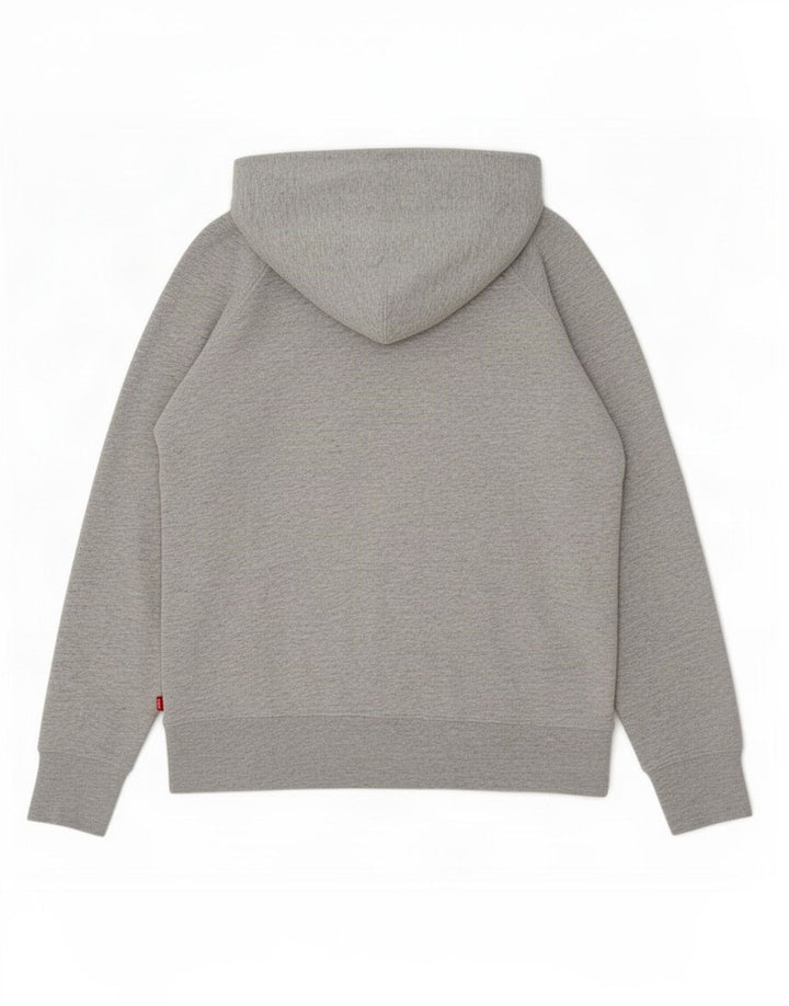 Męski sweter z kapturem i grafiką Levi's, mały, szary, bawełniany
