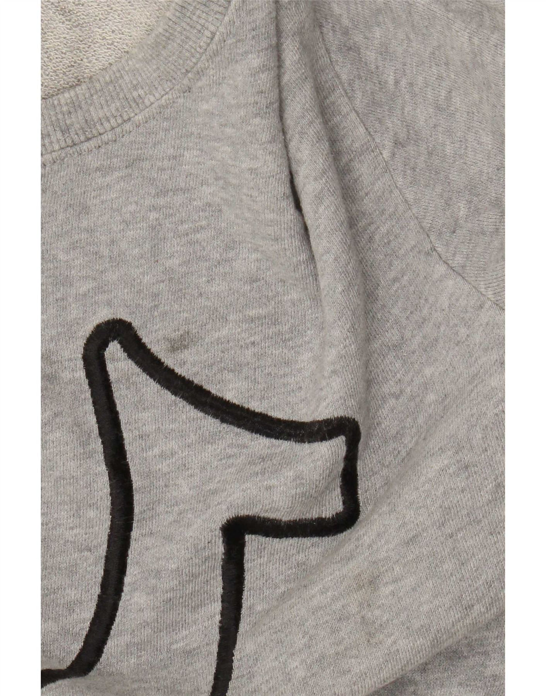 Bluza chłopięca z grafiką True Religion, 13-14 lat, duża, szara bawełna
