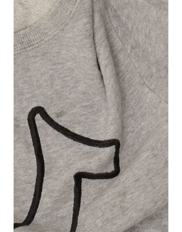 Bluza chłopięca z grafiką True Religion, 13-14 lat, duża, szara bawełna