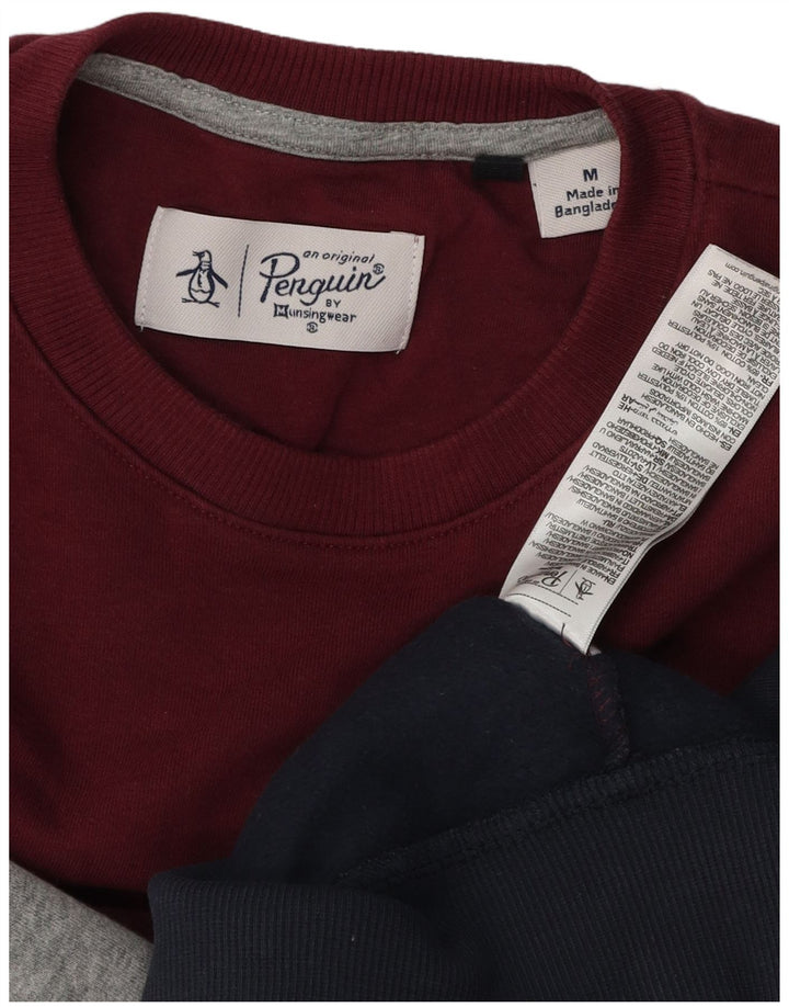 PENGUIN Męski sweterek Bluza Średnio wielobarwna bawełna z blokami kolorów