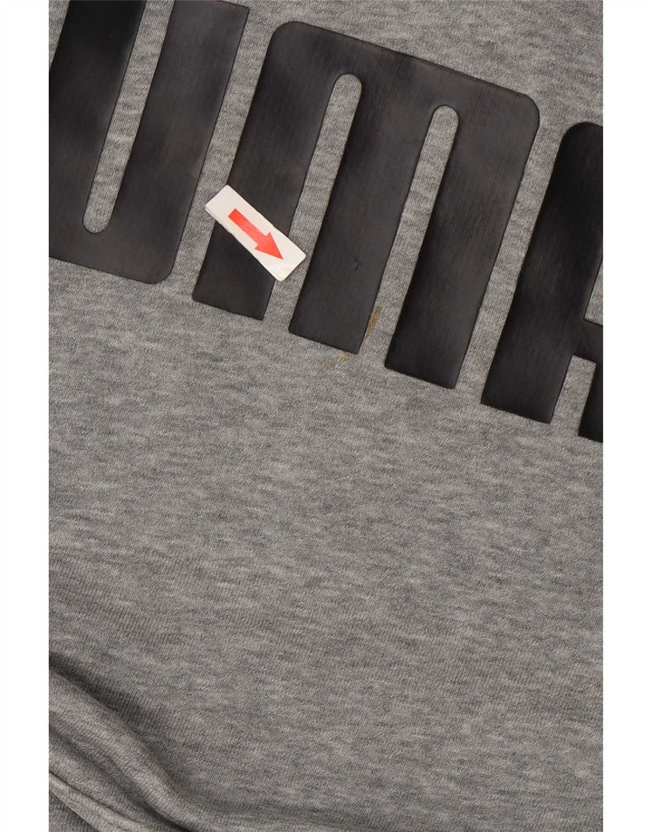 Męska bluza z kapturem Puma z grafiką, mała, szara
