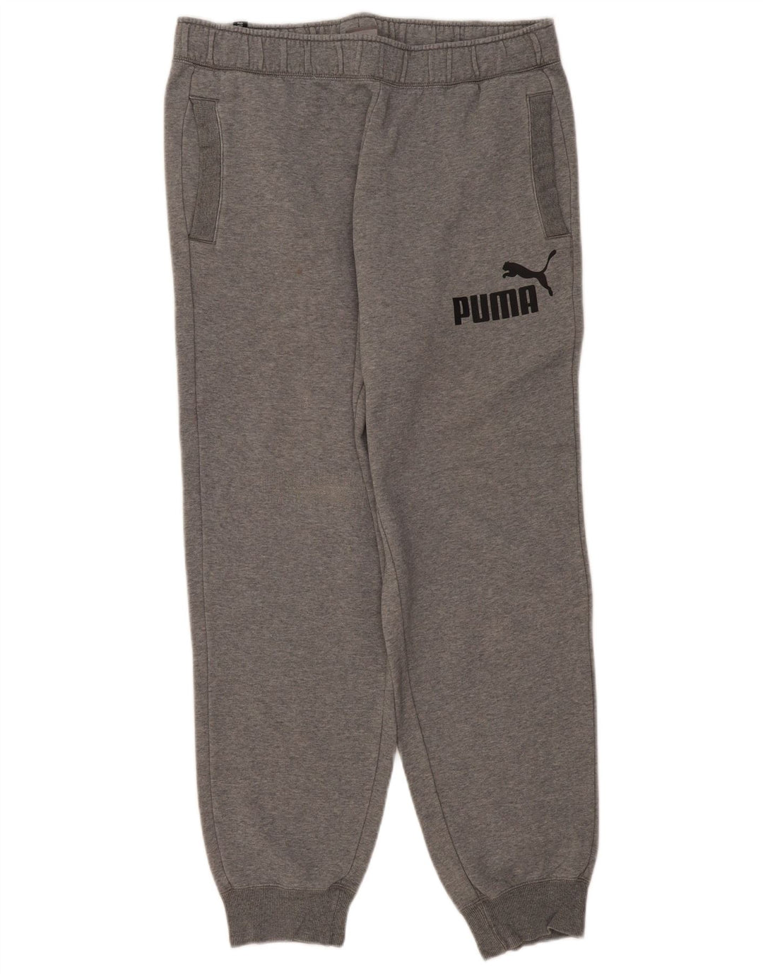 Męskie spodnie dresowe Puma Graphic Joggers XL, szare