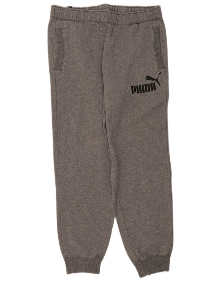 Męskie spodnie dresowe Puma Graphic Joggers XL, szare