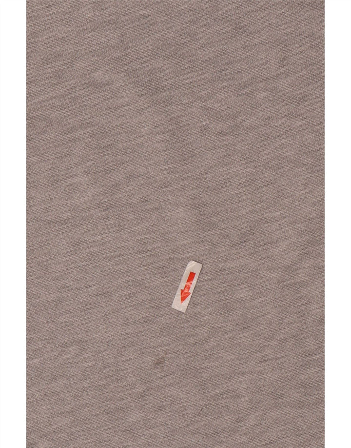 Męska koszulka T-shirt Ralph Lauren, średnia, szara, bawełniana nakrapiana