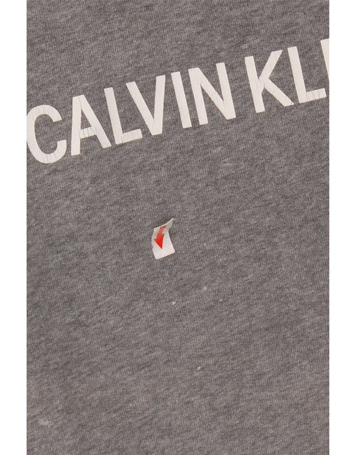 Męska bluza z grafiką Calvin Klein Jeans, mała, szara, bawełniana