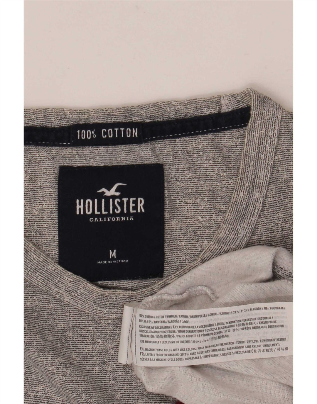 Męski T-shirt z grafiką Hollister, średnioszary, bawełniany