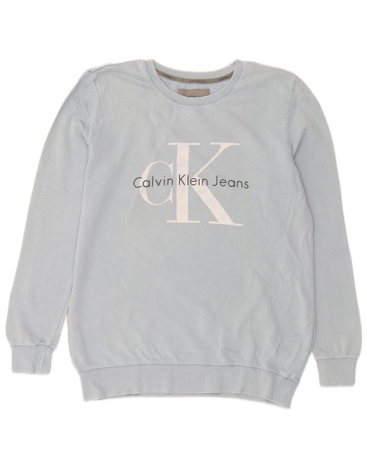 Męska bluza z grafiką Calvin Klein Jeans, mała, niebieska, bawełniana