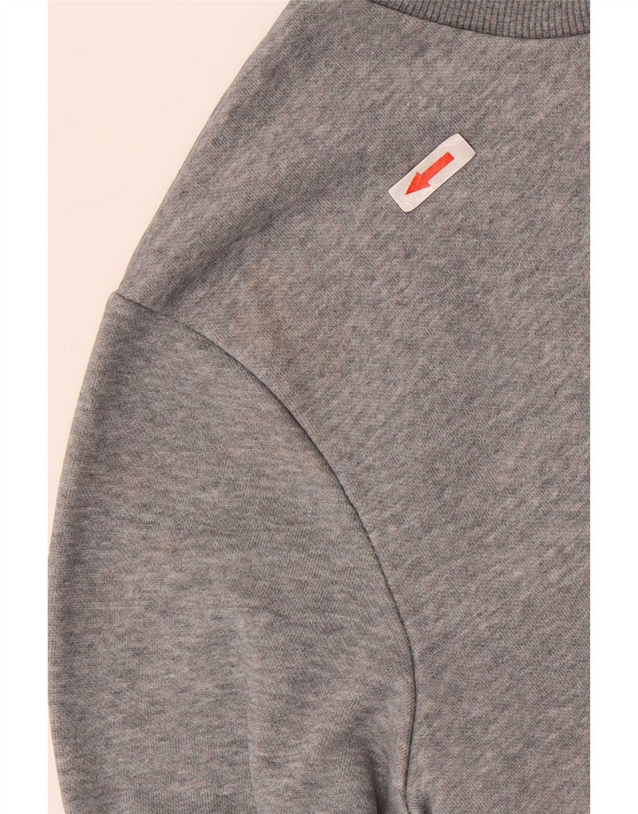 Męska bluza z grafiką Puma, średnioszara, bawełniana