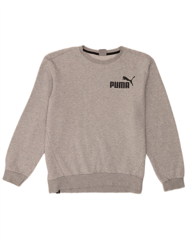Męski sweter Puma, duży, szary