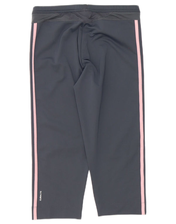 Spodnie dresowe Adidas Damskie Clima 365 Capri UK 16, duże, szare