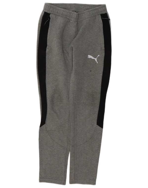 Męskie spodnie dresowe Puma, małe, szare, bawełniane z blokami kolorów