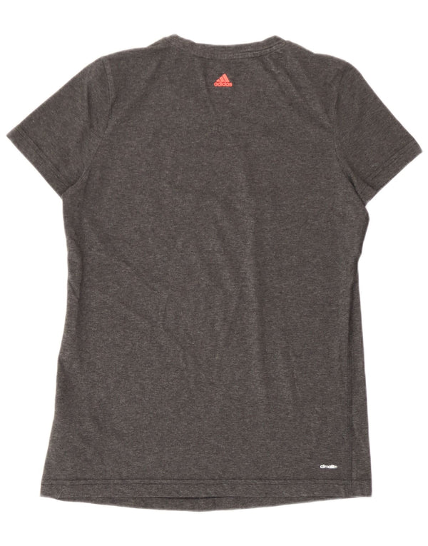 Damska koszulka Adidas Climalite Graphic Top UK 16/18, duża, szara bawełna
