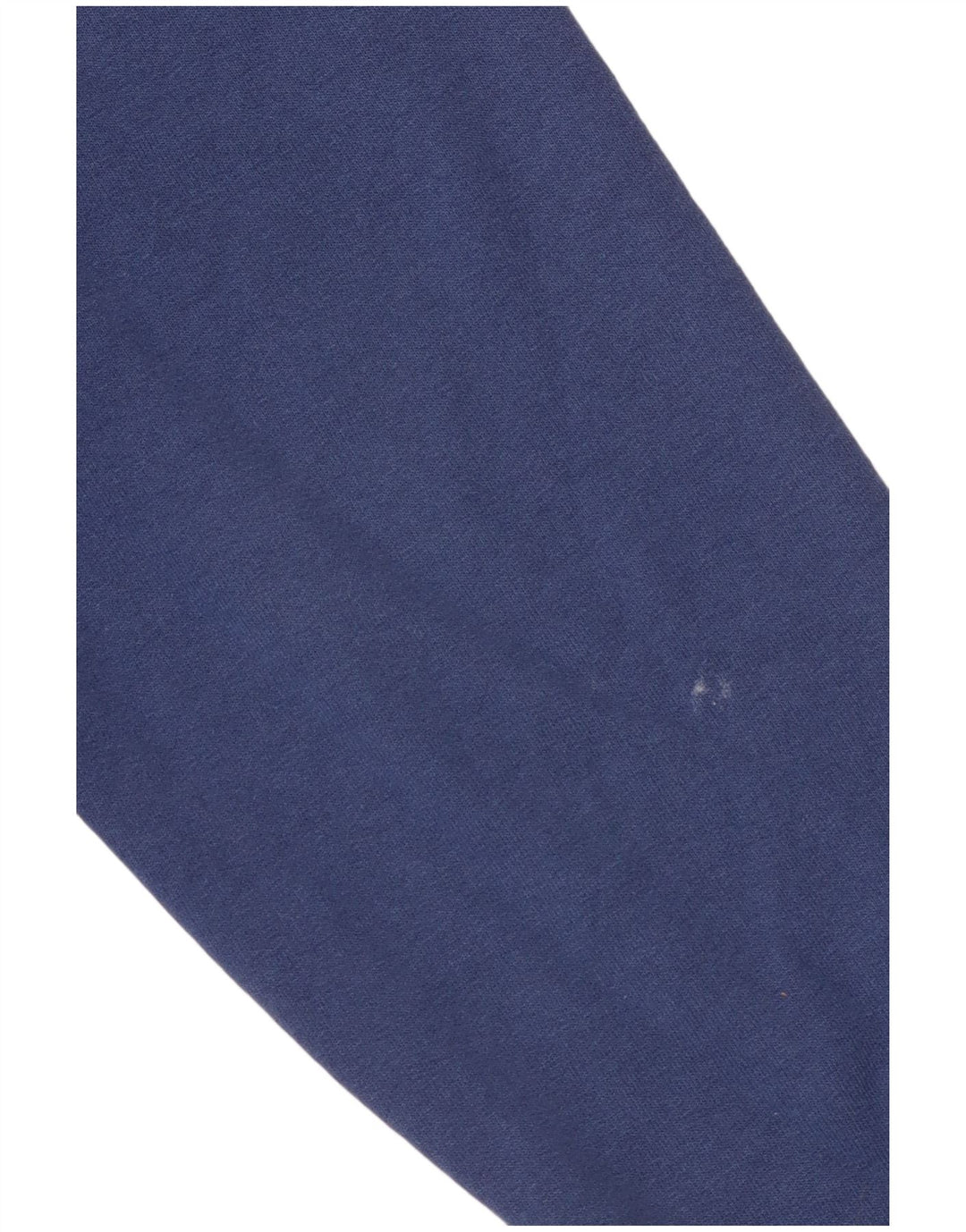 Męski sweter z kapturem Champion Wheaton Graphic, mały, niebieski