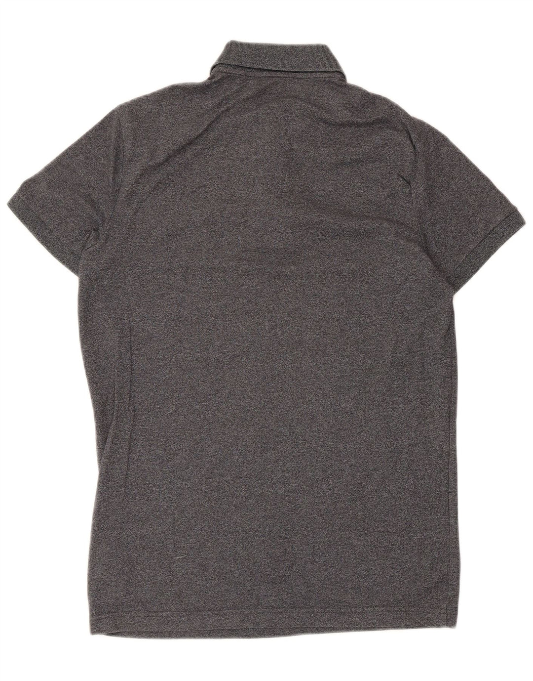 Męska koszulka polo Hollister, mała, szara, bawełniana
