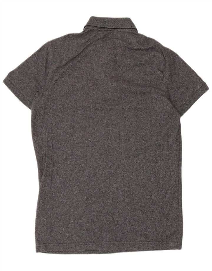 Męska koszulka polo Hollister, mała, szara, bawełniana