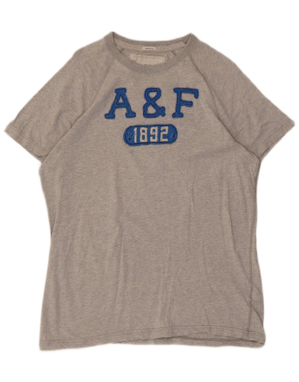 Męski T-shirt z grafiką Abercrombie & Fitch, duży, szary, nakrapiany