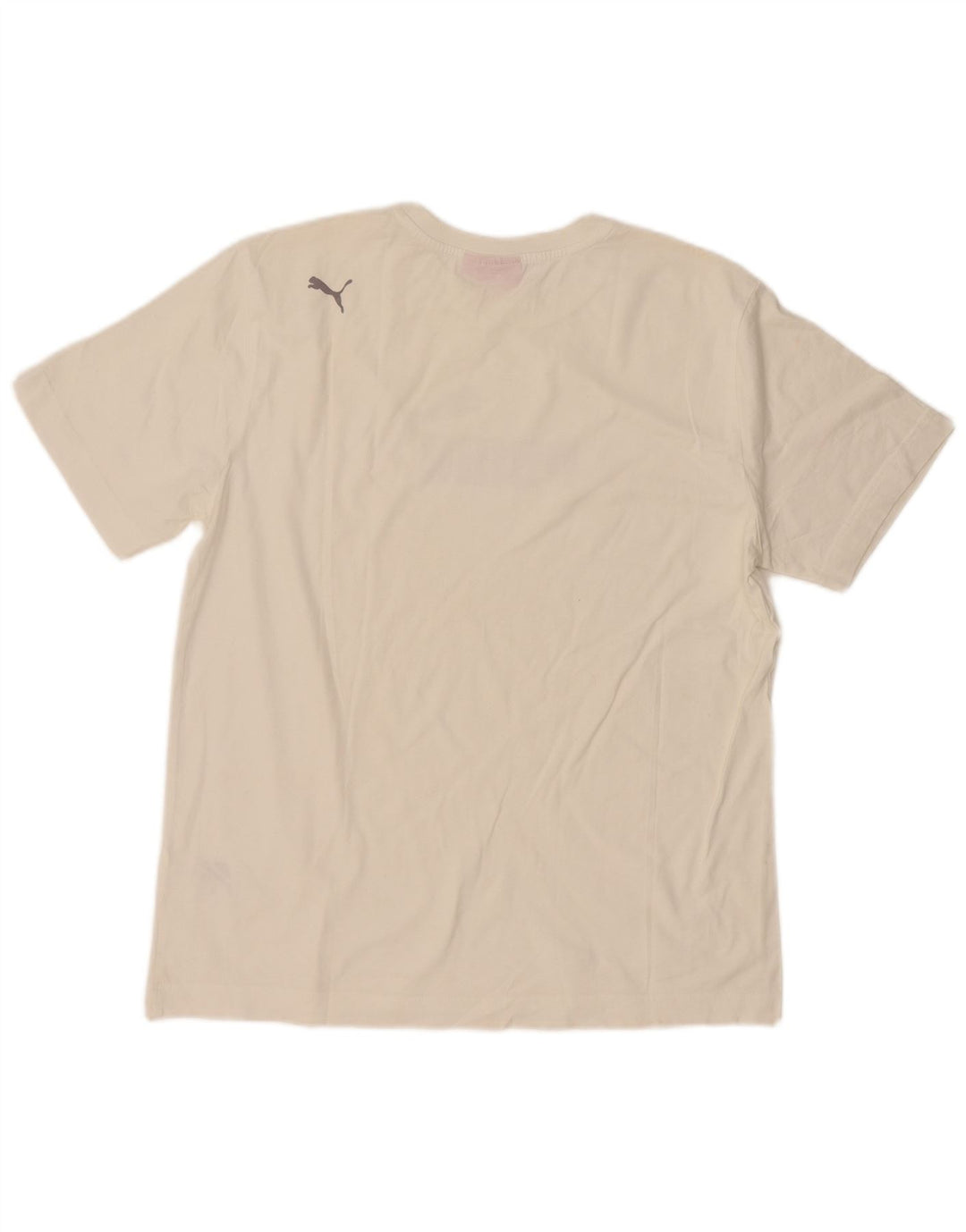 Męski T-shirt Puma z grafiką, duży, biały