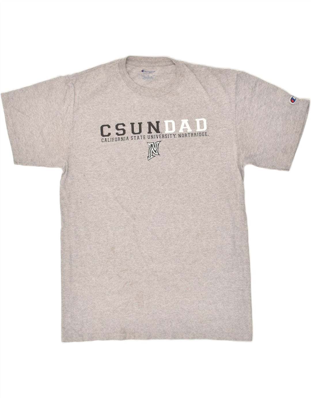 CHAMPION Mens Graphic T-Shirt Top Large Grey Cotton Vintage Champion and Second-Hand Champion from Messina Hembry 