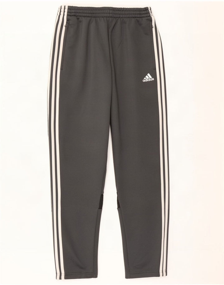 Męskie spodnie dresowe Adidas, średni szary poliester