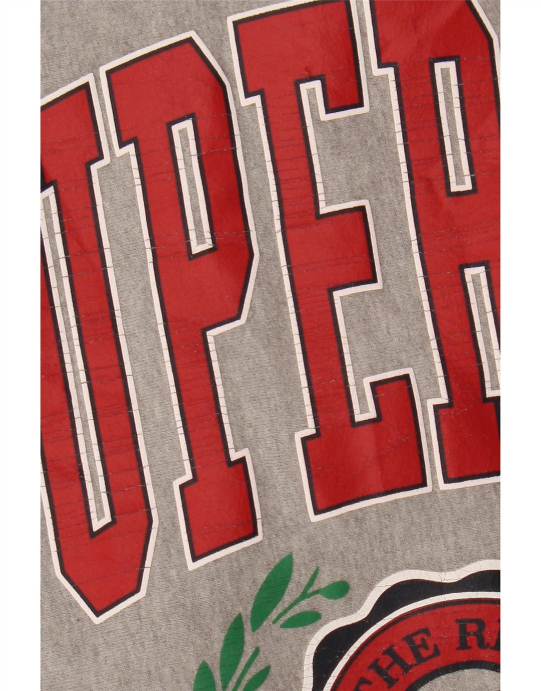 Damska bluza SUPERDRY z grafiką, UK 8, mała, szara, z blokami kolorów